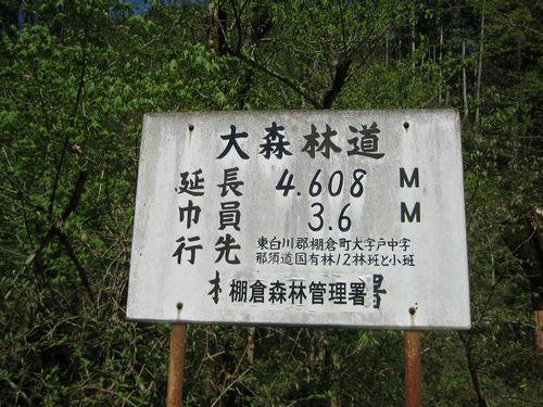 大森林道標識
