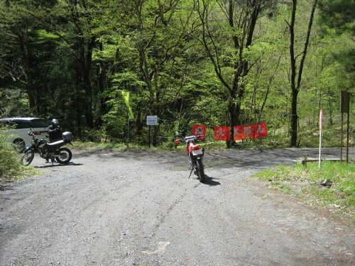 県道377