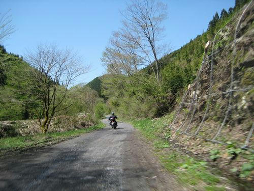 県道377号八溝山線