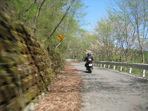 県道377号八溝山線