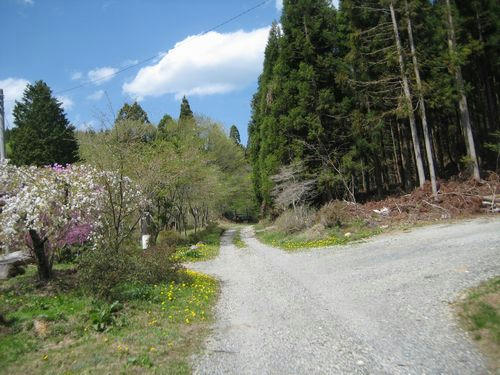 七ツ滝柳沢林道