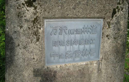 万沢林道