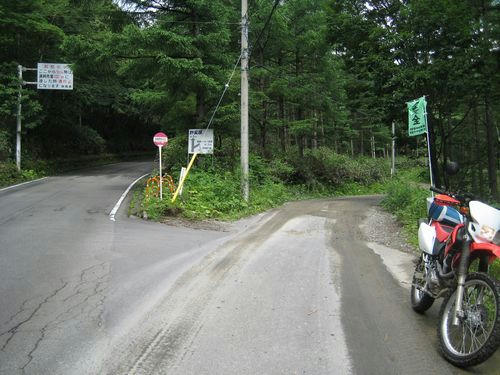 万沢林道入口