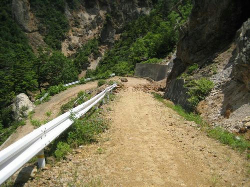 山田入林道