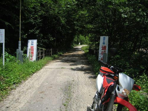 山田入林道