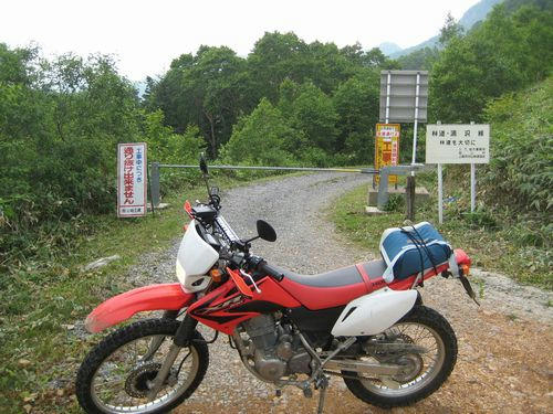 湯沢林道終点