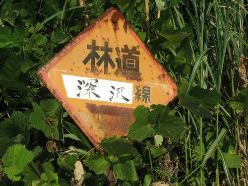 深沢林道
