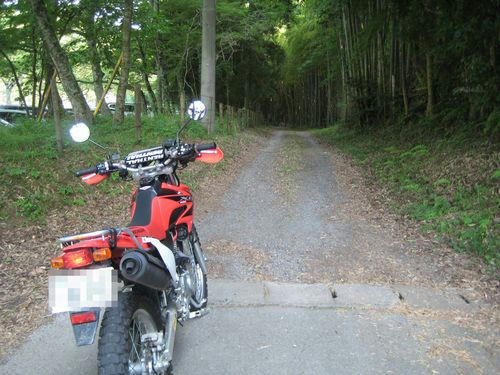 大野線