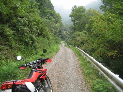 前山大明神林道