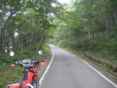 観音峠大野山線