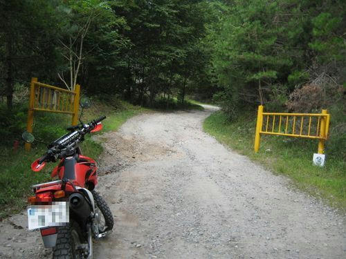 樫山小森川林道