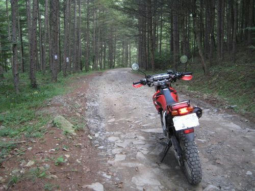 樫山小森川林道