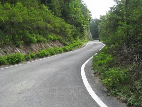 樫山林道