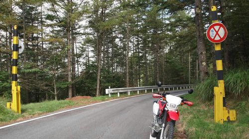 樫山林道