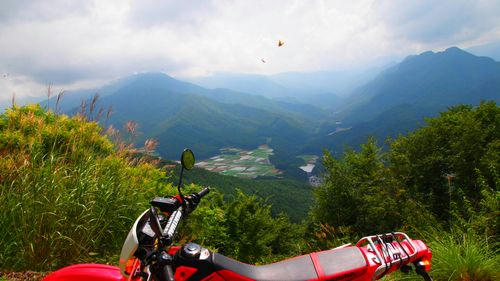 相木川上林道