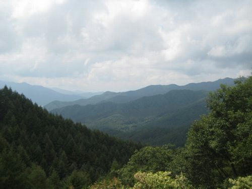 中津川林道