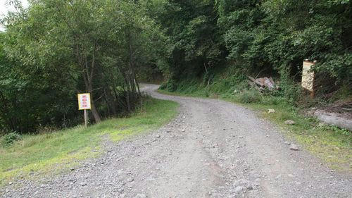 中津川林道