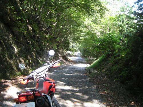 中津川林道