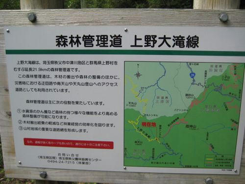上野大滝林道