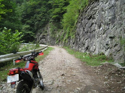 上野大滝林道