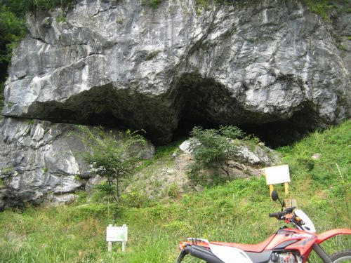 上野大滝林道