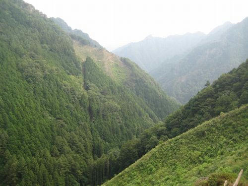 上野大滝林道