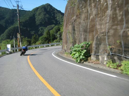 国道462号線