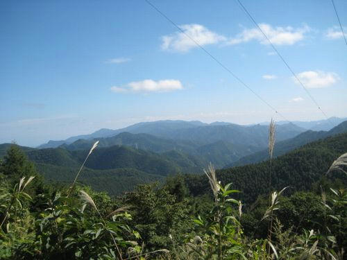 国道299号線