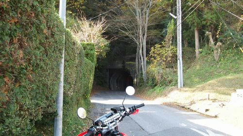 気になっていたトンネル