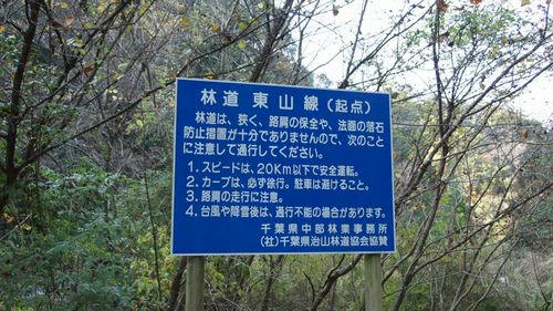 東山林道