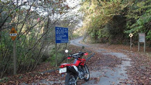 東山林道