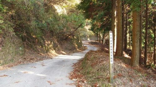 東山林道