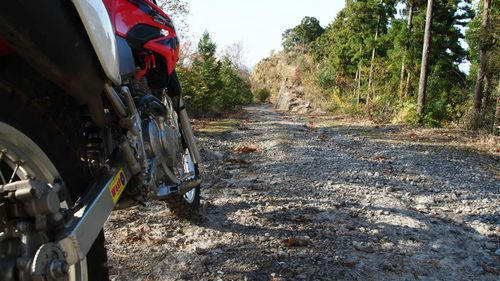 東山林道