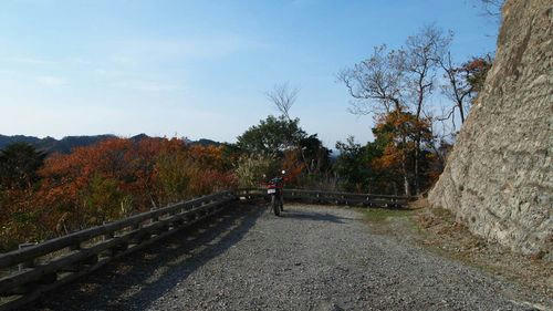 東山林道