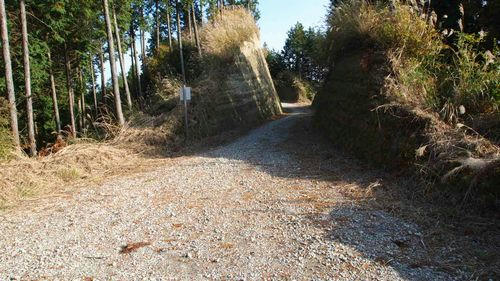 東山1号林道