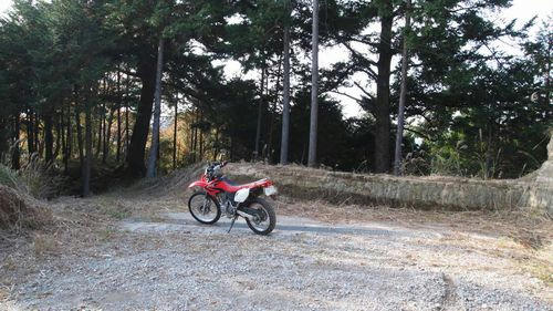 東山1号林道
