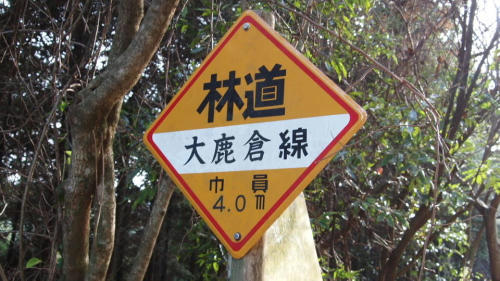 大鹿倉林道