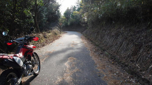 大鹿倉林道