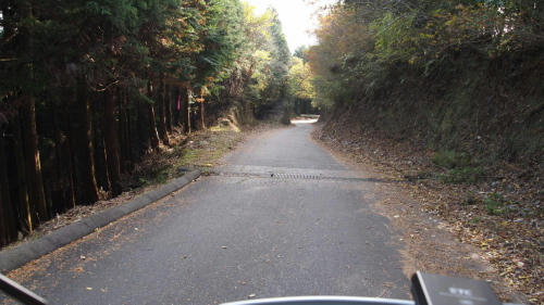 大鹿倉林道