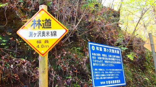 渕ヶ沢奥米線