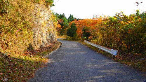 渕ヶ沢奥米線