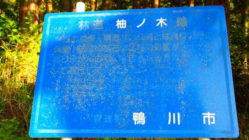 柚ノ木林道