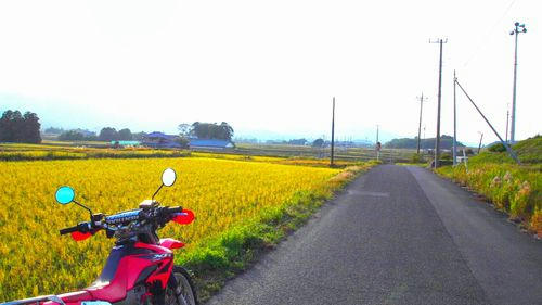 長狭街道付近