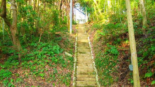北辰神社