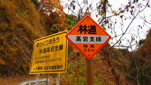 高宕林道
