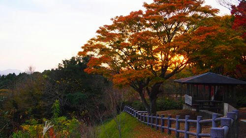 九十九谷公園