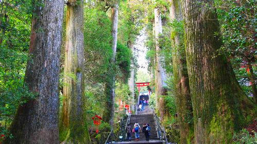 箱根神社