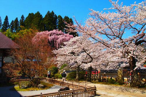 福聚寺(ふくじゅうじ)