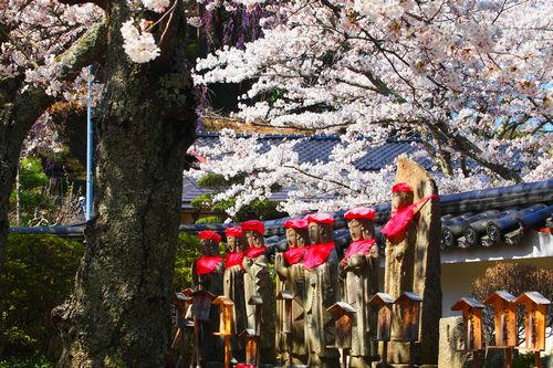 福聚寺（ふくじゅうじ）