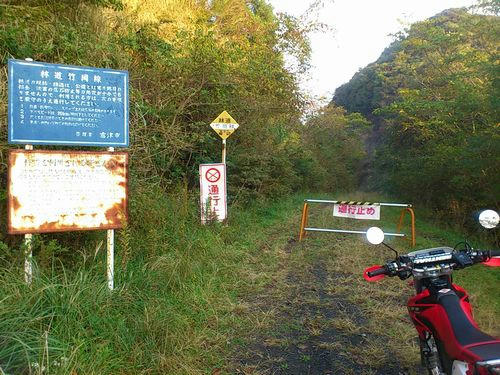 竹岡林道